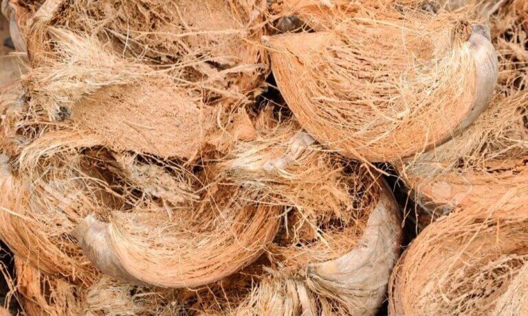 Manfaat Serat Sabut Kelapa Untuk Kerajinan Tangan