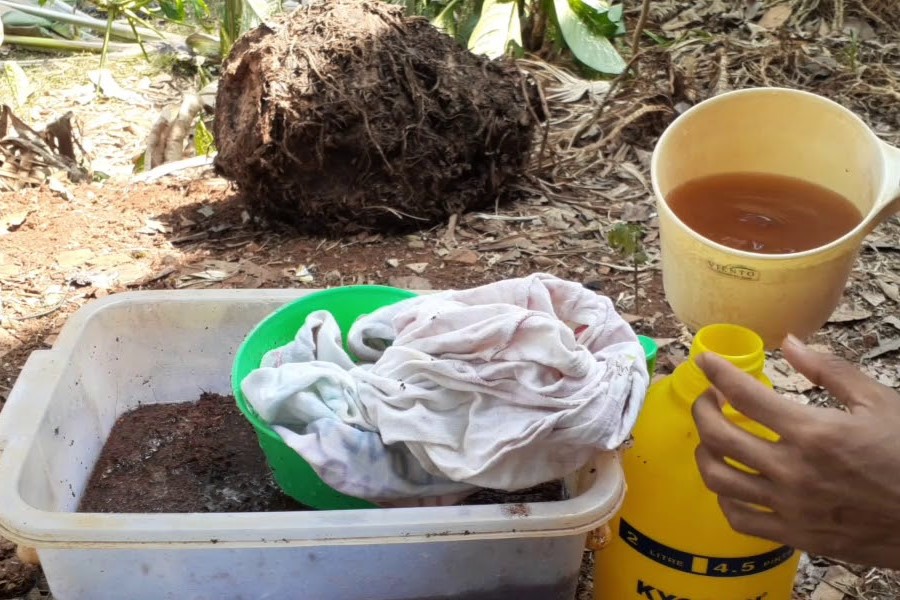 manfaat larutan sabut kelapa untuk poc