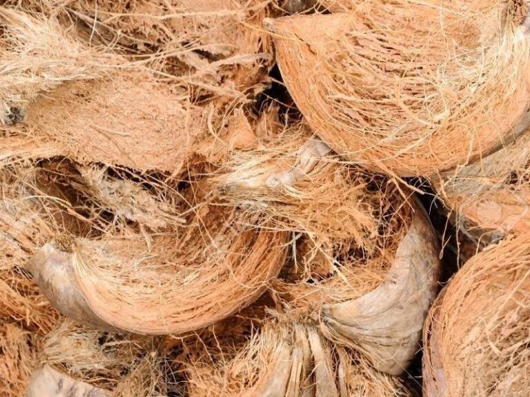 Sabut Kelapa Bagi Tanaman Serta Manfaat Dan Kegunaanya