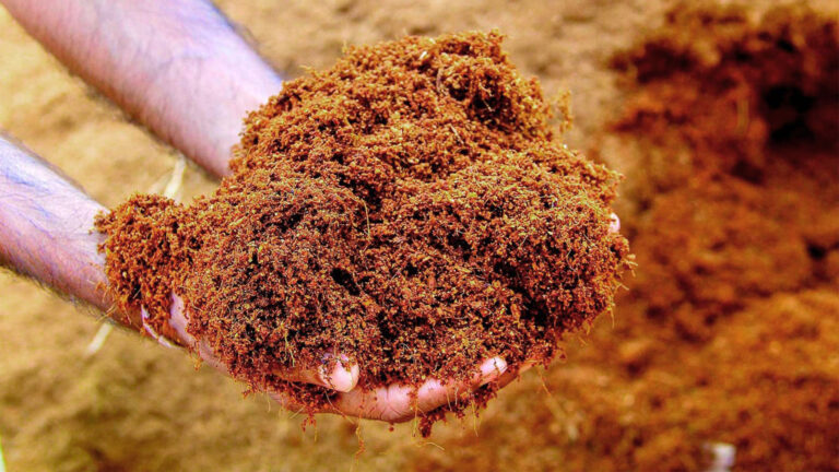 Proses dan Bahan Membuat Cocopeat