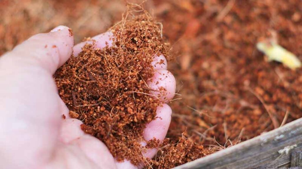 cocopeat