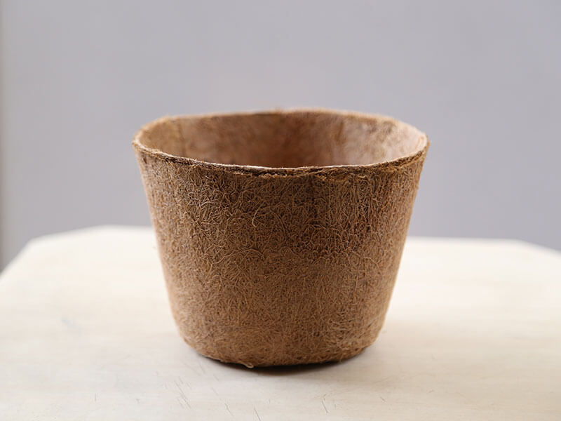 Pot Bunga dari Sabut Kelapa