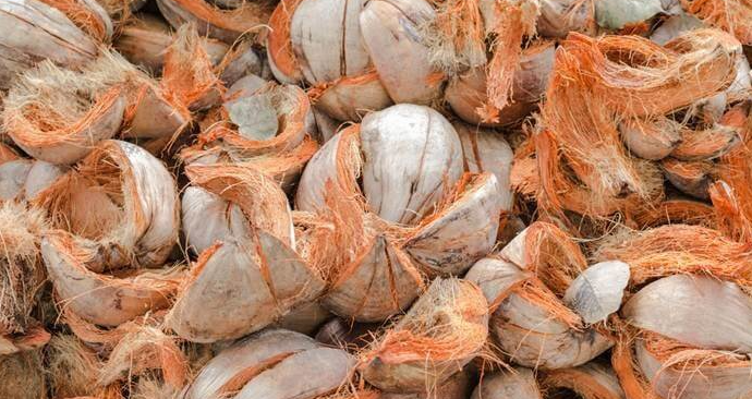 Cara Buat Kerajinan dari Sabut Kelapa Menjadi Produk Bernilai