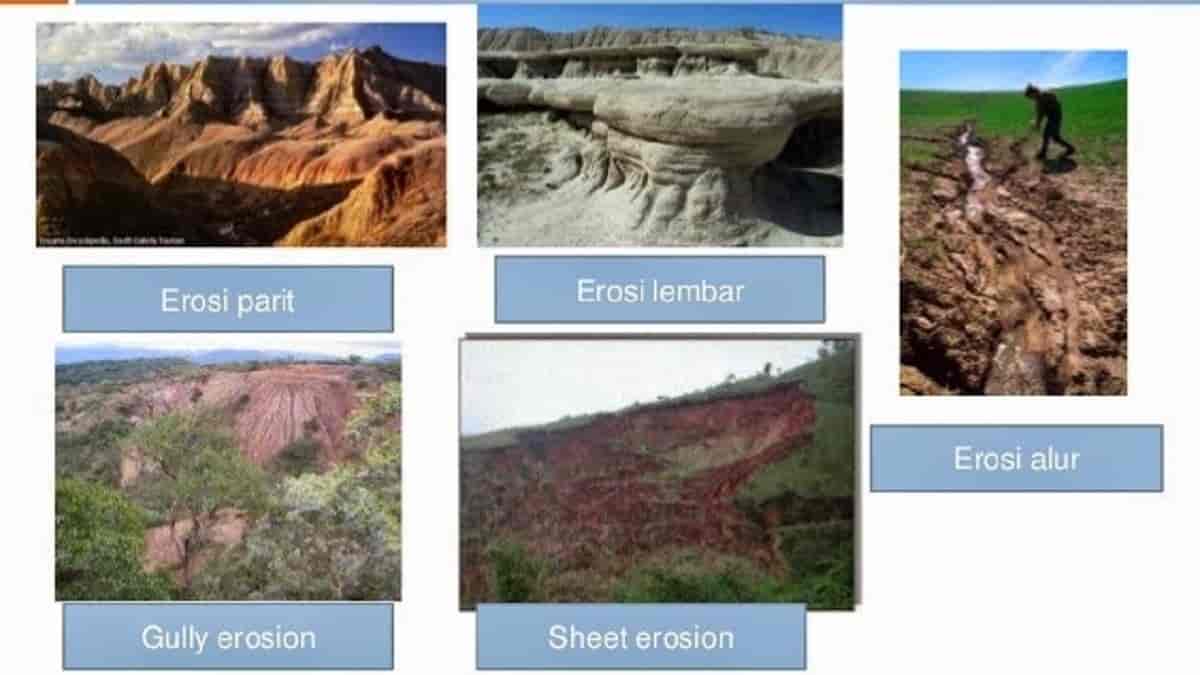 Apa yang Dimaksud Eropsi