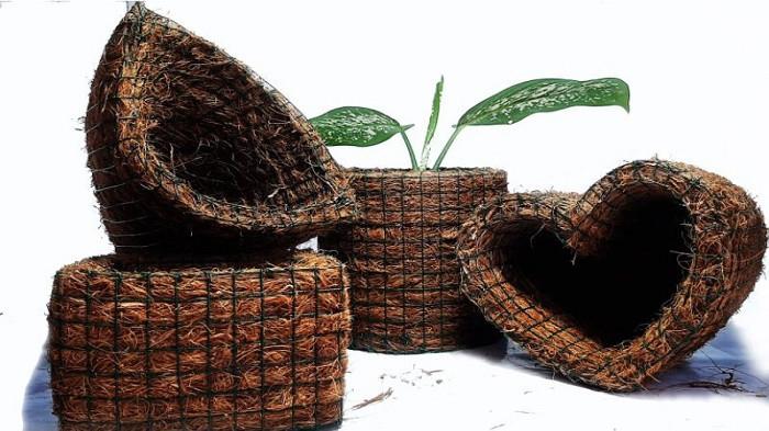 Pot Bunga dari Sabut Kelapa