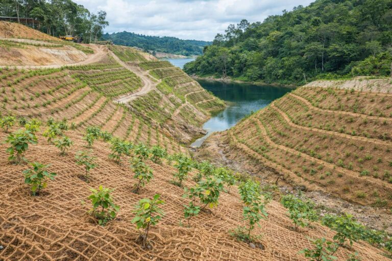 Pengelolaan Lahan Pasca Tambang untuk Mendukung Pemulihan Lingkungan