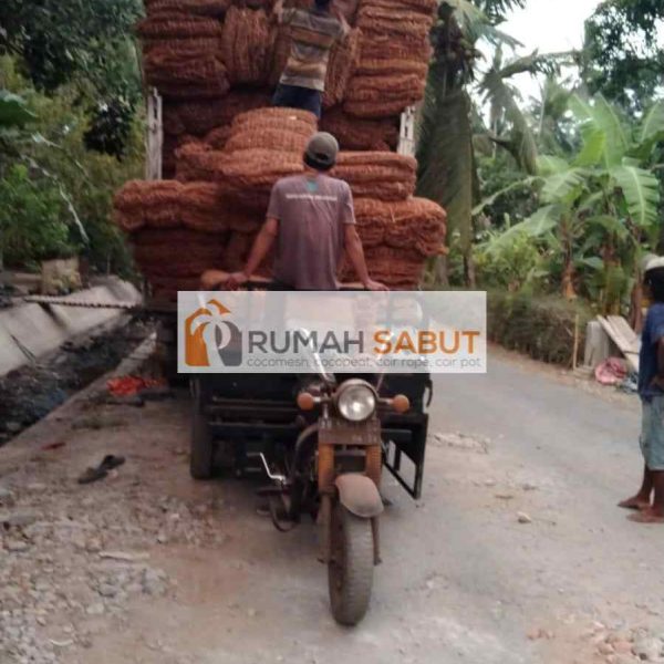 pengiriman cocomesh skala besar