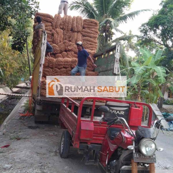 pengiriman cocomesh skala besar