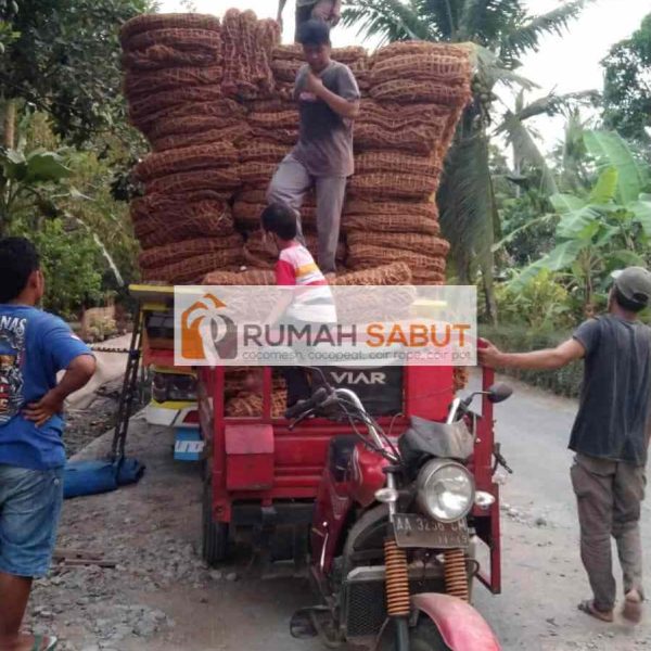 pengiriman cocomesh skala besar